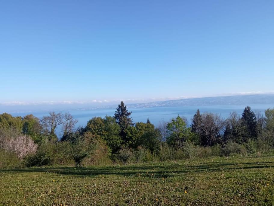 Lugrin Proche Du Lac Et Montagne Εξωτερικό φωτογραφία
