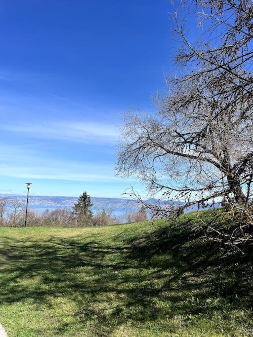 Lugrin Proche Du Lac Et Montagne Εξωτερικό φωτογραφία